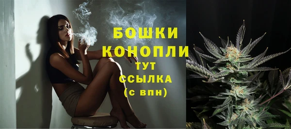 прущие грибы Мегион